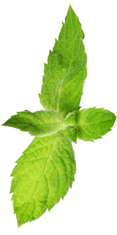mint-min